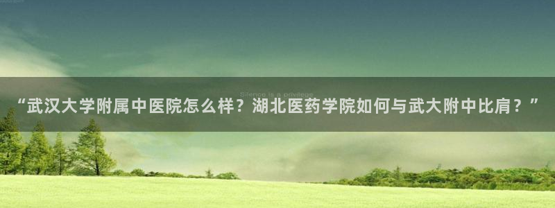 九游会网址是什么