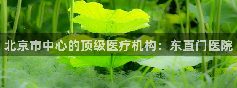 ag老帅百度百科