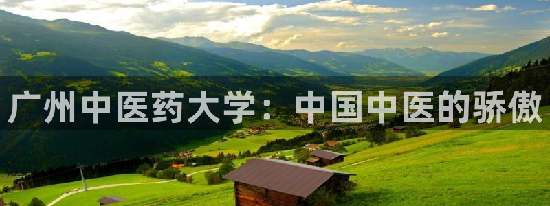 九游会最新网站