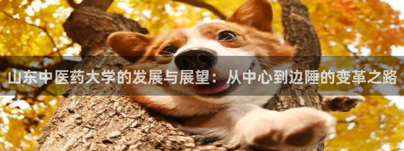 九游会网址多少