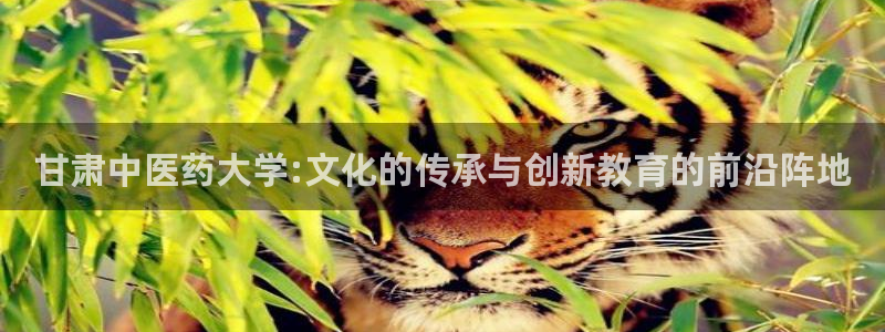 九游会j92020：