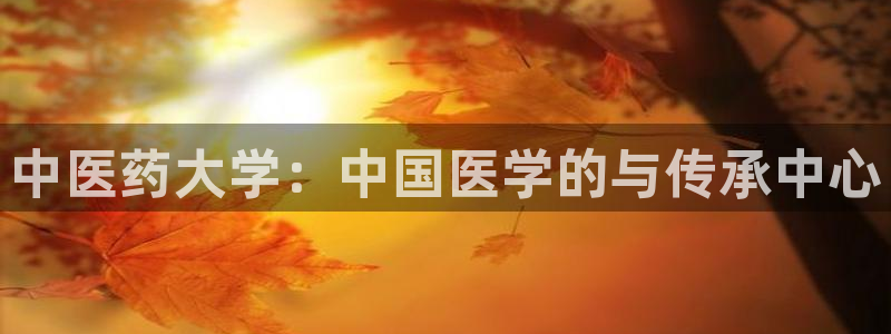 九游会官网登录网址