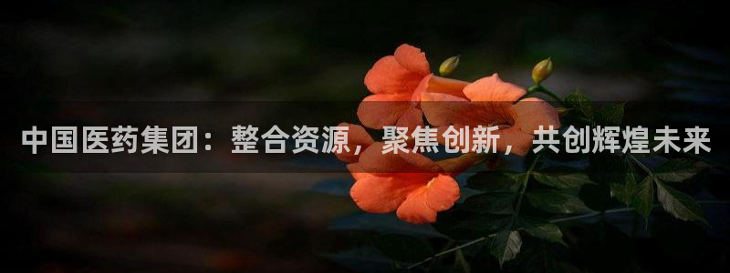 ag九游会vip8