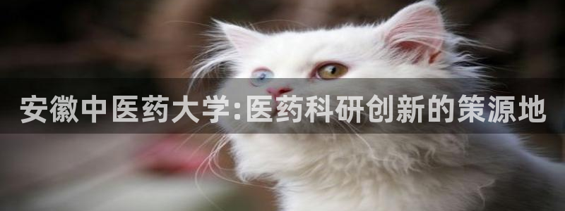 九游会最新线路
