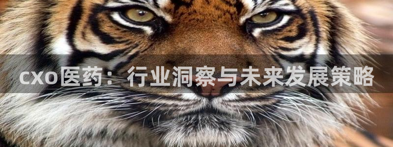 usdt九游会老哥俱乐部