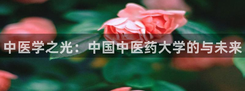 九游会亚洲第一
