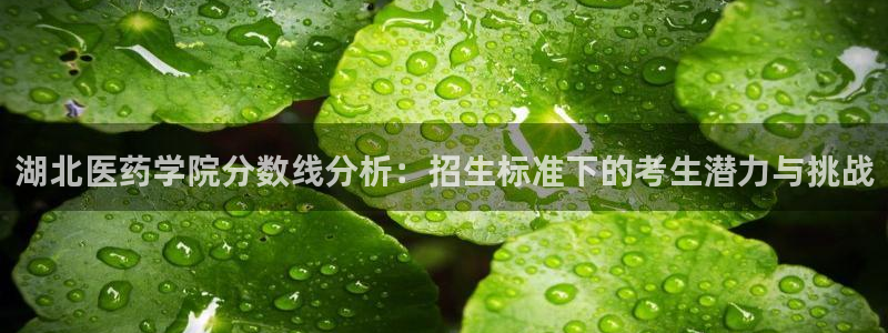 ag怎么变成九游会了