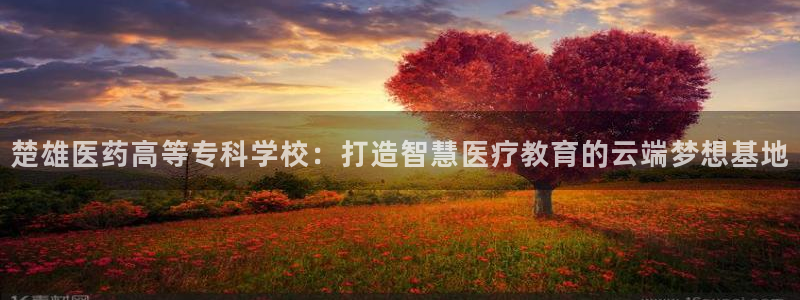 J9九游会登录首页