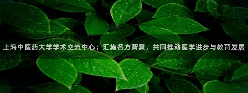 九游会官方选网址是j9.cm