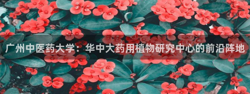 九游会官网登入首页：