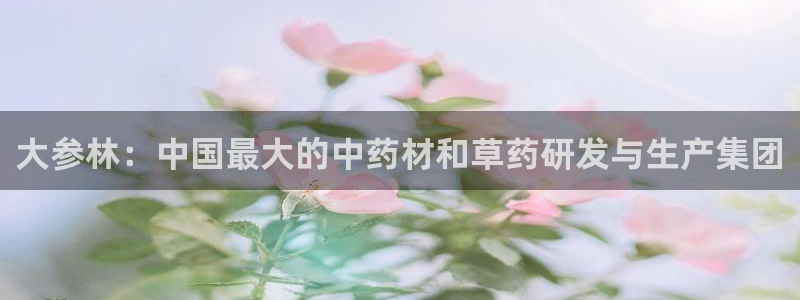j9九游会最新官网