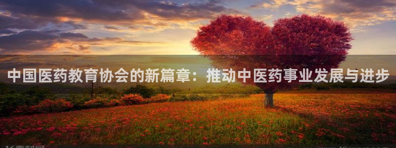 九游会官方网站登录