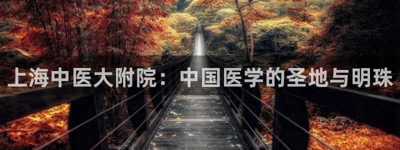 九游会AG在线平台