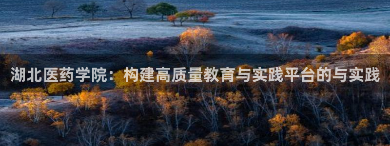 九游会平台入口