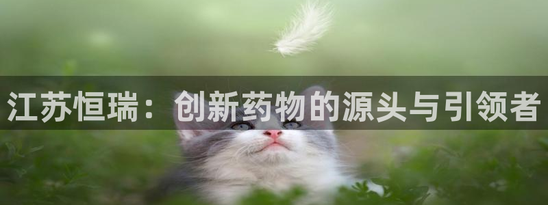 九游会官网真人认证吗知乎