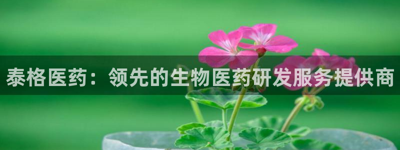 九游会网址大全