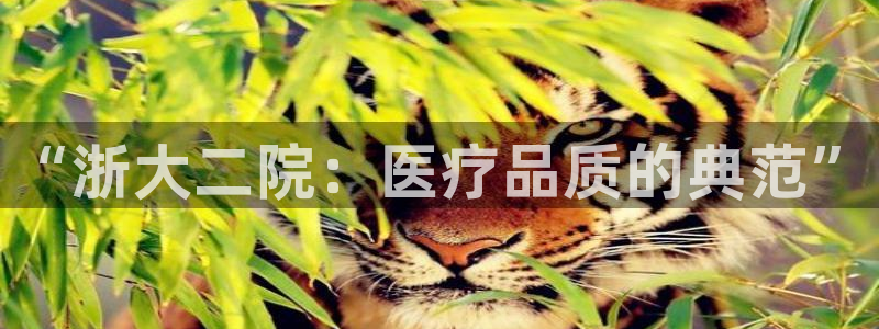 九游会官方平台