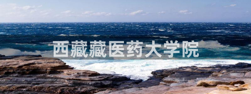 j9九游会老哥俱乐部八戒