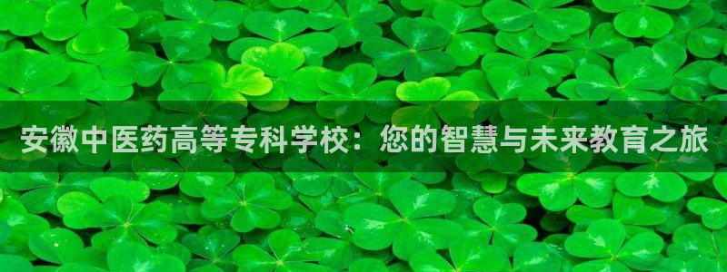 九游会AG登录入口：