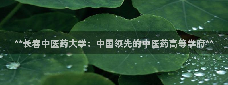 九游会老哥必备的交流社区九