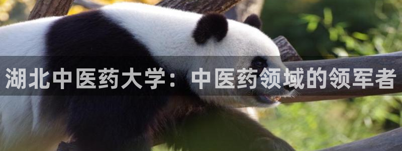 九游会是一个什么网站啊