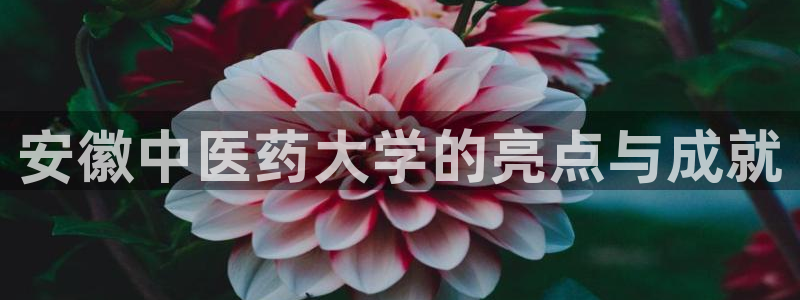 九游会登录网站