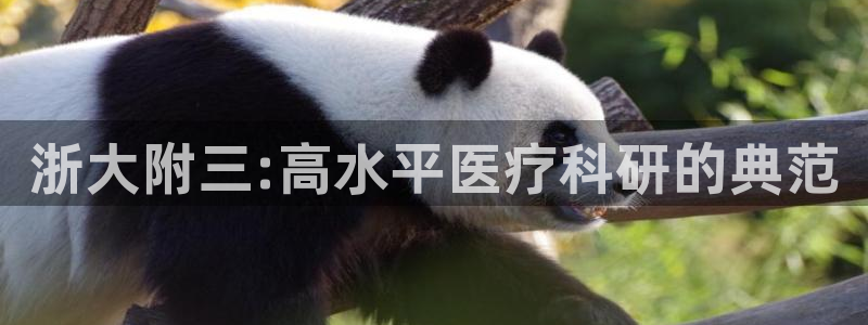 j9九游会真人游戏第一