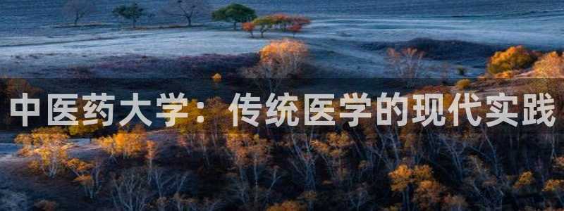 j9九游会首页登录新版