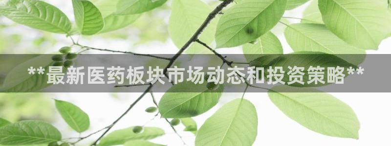 九游会官网 登录网站