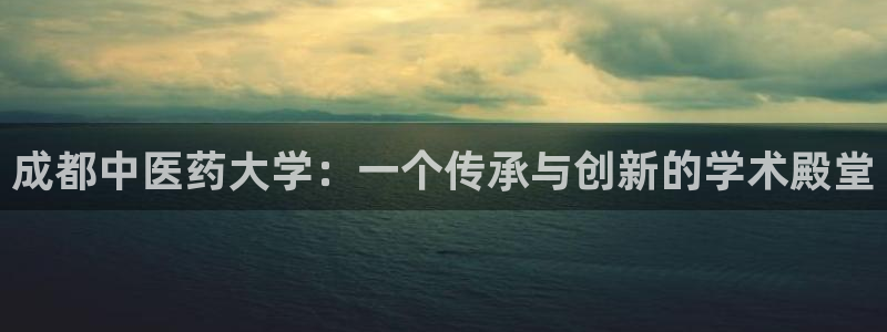 J9九游会官网app