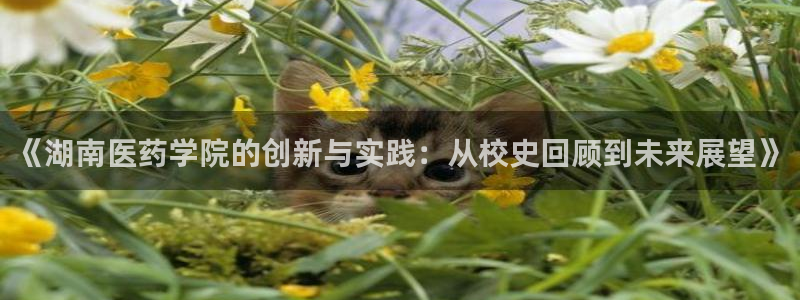 ag九游会登录j9入口