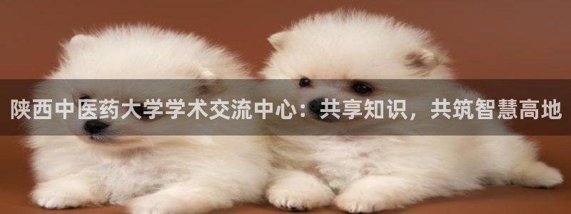 九游会平台王一博泰国