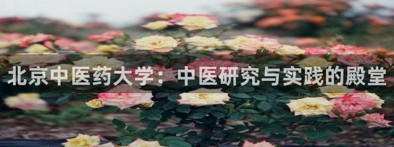 ag九游会客户端