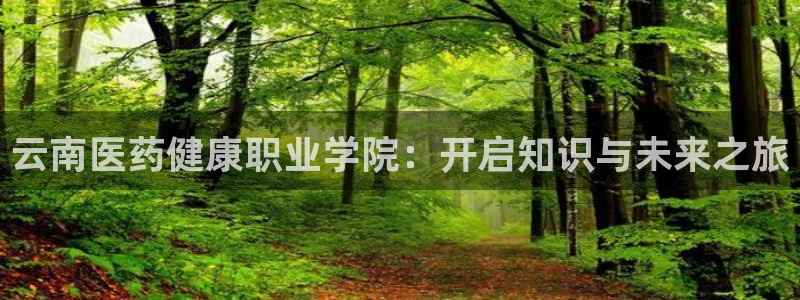 九游会官网网页版