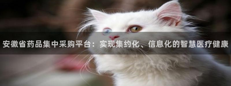 j9九游会会员日