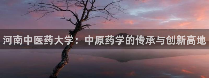 九游会集团首页：河南 