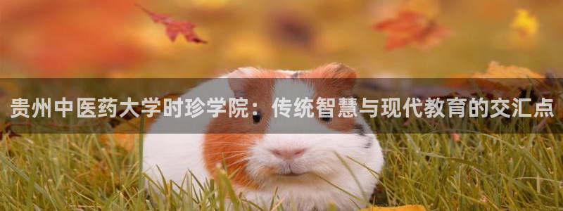 J9九游会登录首页