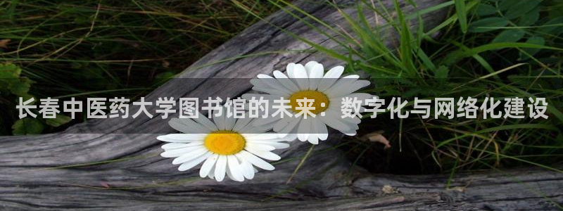 j9九游会备用网址