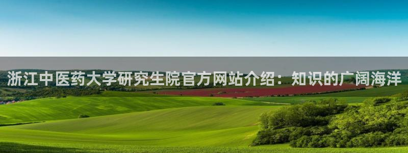 9游会ag