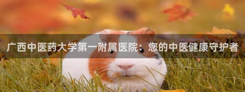 j9九游会网址