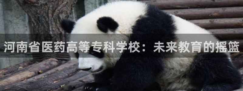 j9九游会app下载