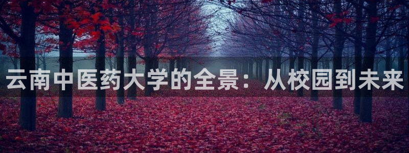 九游会集团登录