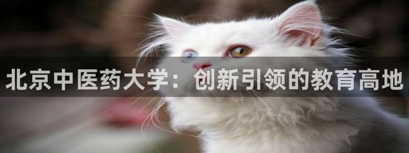 九游会官方选网址是j9.cm