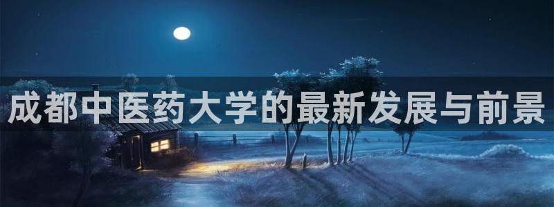 九游会网址大全：成都