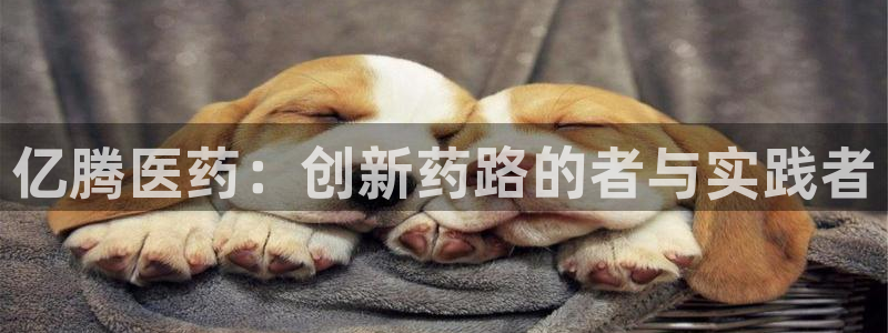 j9九游会老哥俱乐部