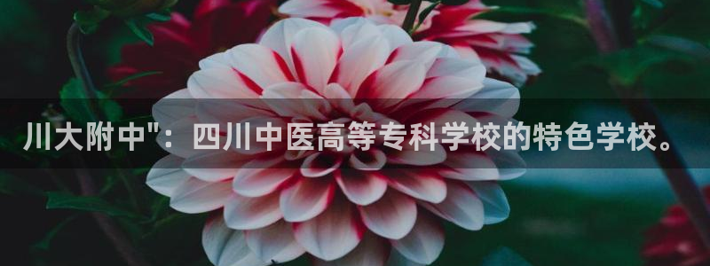 ag久游：川大附中\