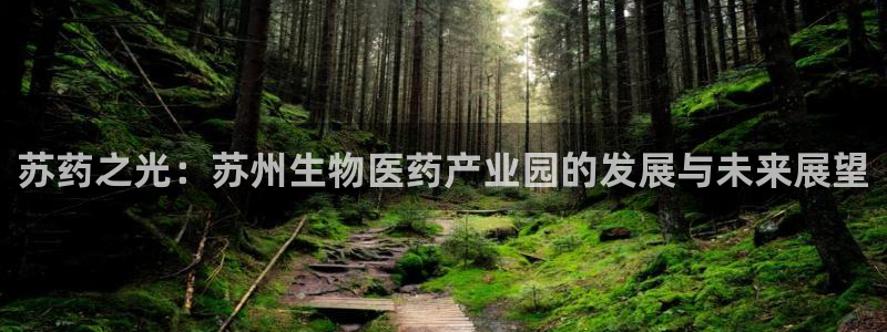 J9九游会老网站：苏