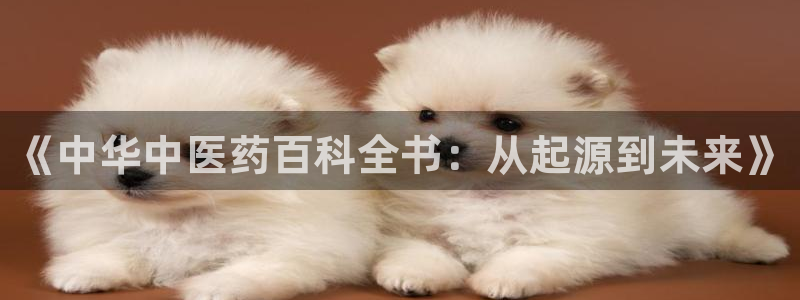 九游会亚洲官网：《中