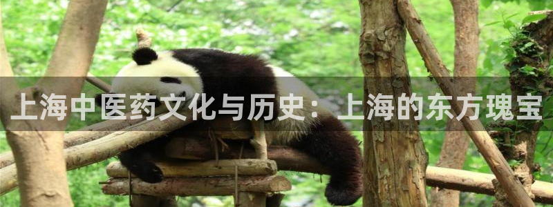 九游会app下载版官