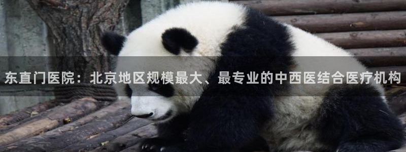 九游会j9官方登录入